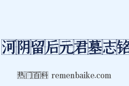 河阴留后元君墓志铭是什么意思的图片